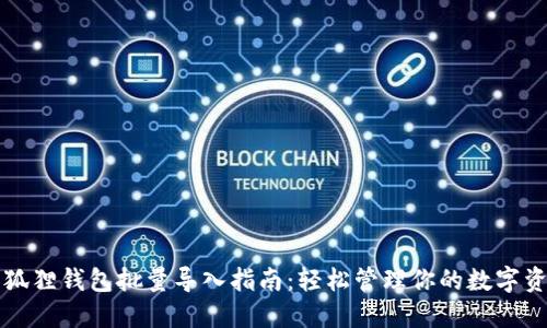 小狐狸钱包批量导入指南：轻松管理你的数字资产