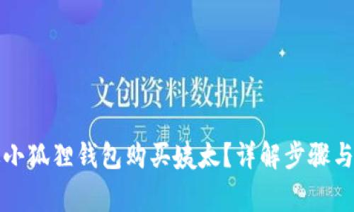 如何通过小狐狸钱包购买姨太？详解步骤与注意事项