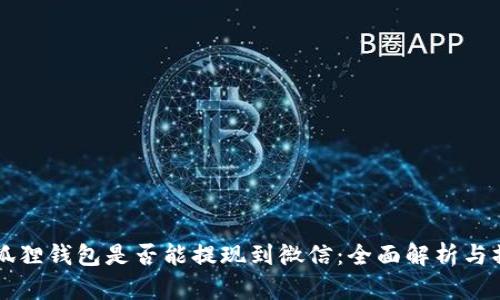 阿里小狐狸钱包是否能提现到微信：全面解析与操作指南