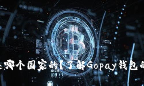 Gopay钱包是哪个国家的？了解Gopay钱包的起源与发展