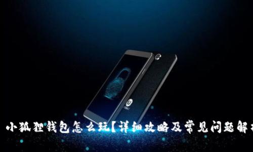: 小狐狸钱包怎么玩？详细攻略及常见问题解析